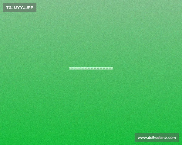 骨折治疗的新进展与康复方法探索：从早期干预到个性化恢复策略